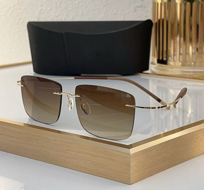 Men Brown Sunglasses